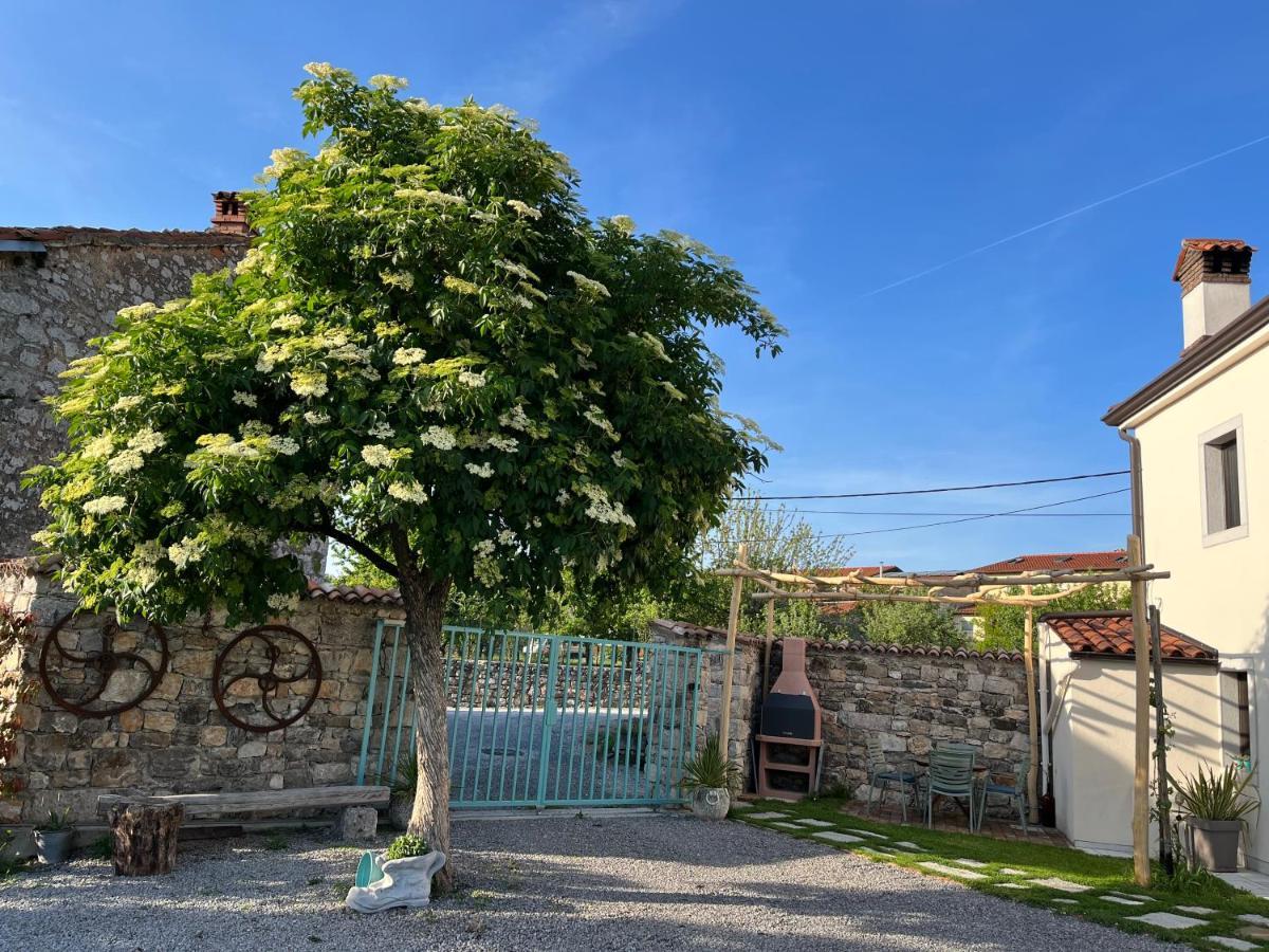 Apartma Ob Stari Murvi, Sežana Exteriör bild